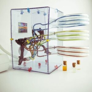 ELECTRICITY